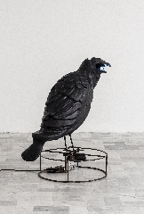 Sara Ravelli, Merry-go-round, 2025